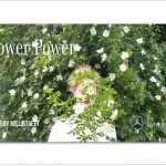 Flyer Flower Power